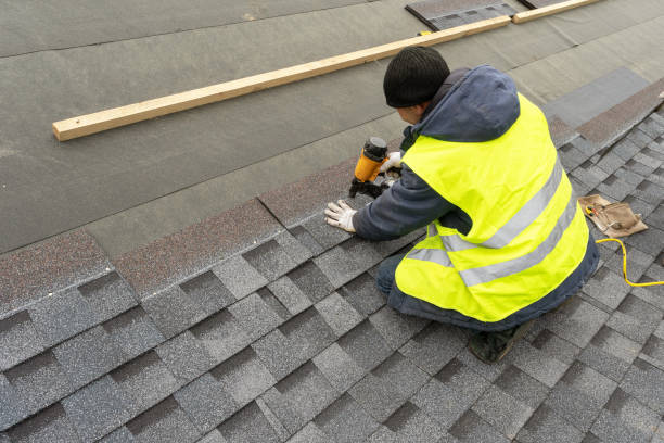 Best Storm Damage Roof Repair  in Frankford, DE