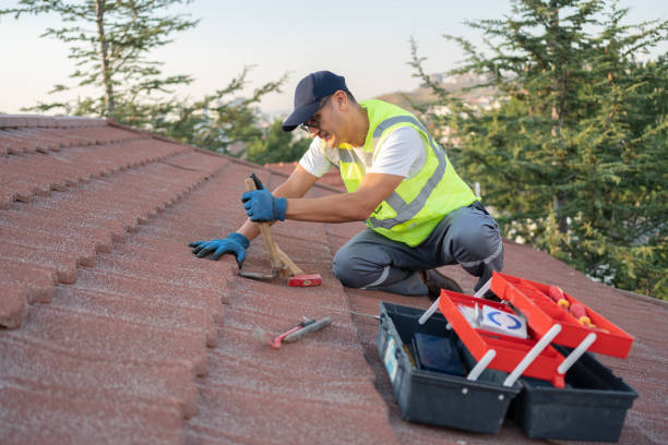 Roof Gutter Cleaning in Frankford, DE